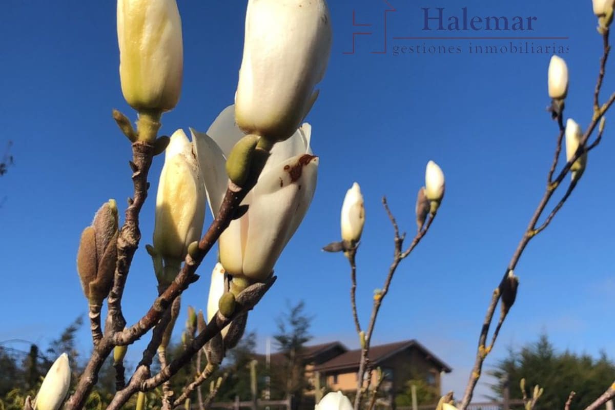 Parcelación Don Rafael