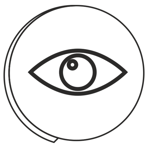 Vision