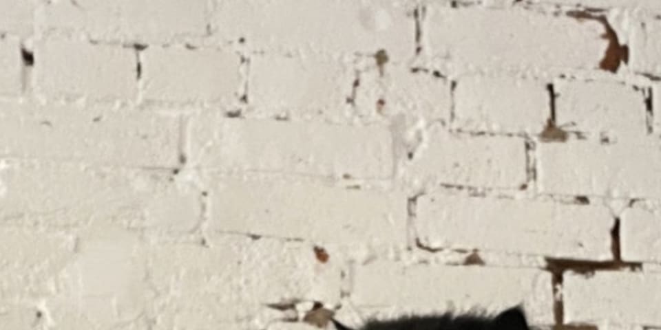 Photo 2 of 2