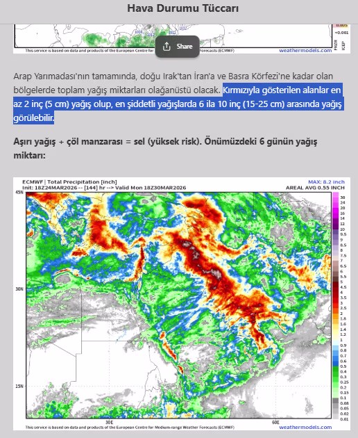 ECMWF toplam yağış haritası