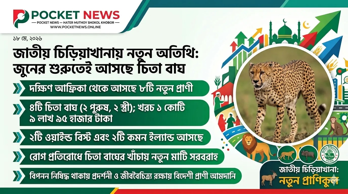 জাতীয় চিড়িয়াখানায় নতুন অতিথি: জুনের শুরুতেই আসছে চিতা বাঘ জাতীয় চিড়িয়াখানায় নতুন অতিথি: জুনের শুরুতেই আসছে চিতা বাঘ