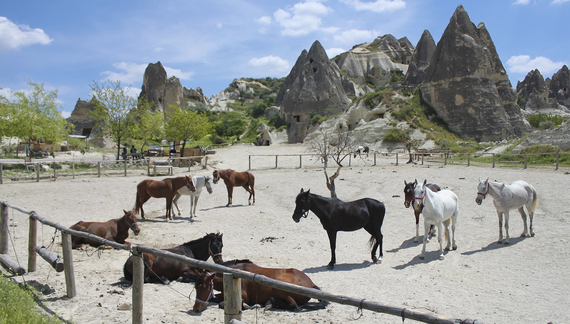 Kapadokya Gün Doğumu At Turu - 2