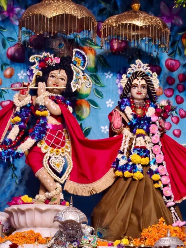 इस्कॉन मंदिर में श्री श्री राधा पार्थसारथी जी को शीतलता प्रदान करने के लिए चंदन यात्रा महोत्सव