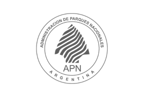 APN