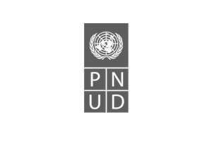 PNUD