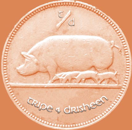 Cork City Council