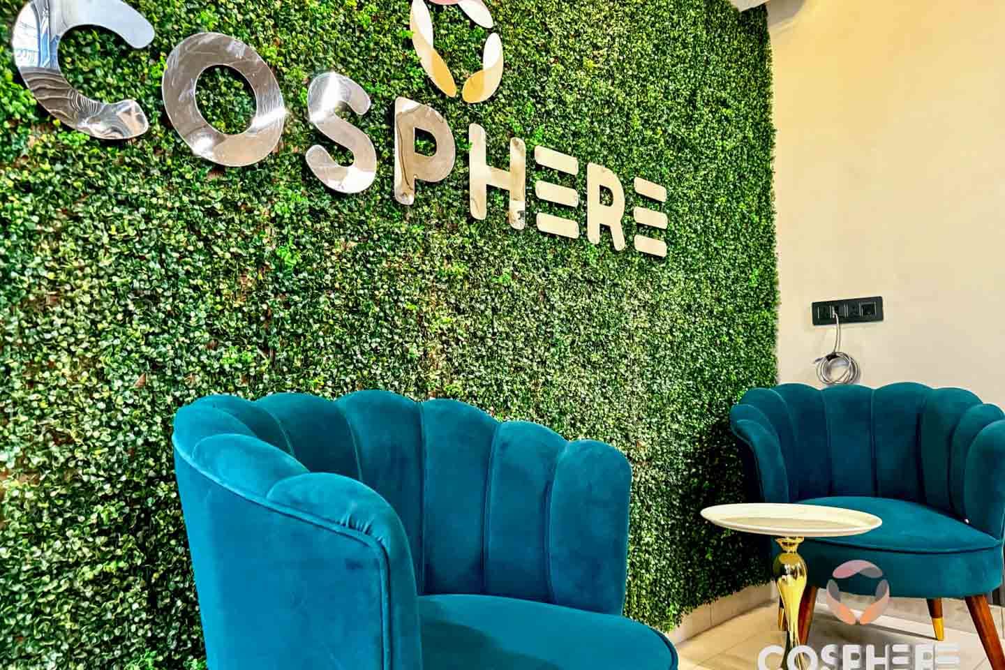 Cosphere Spaces