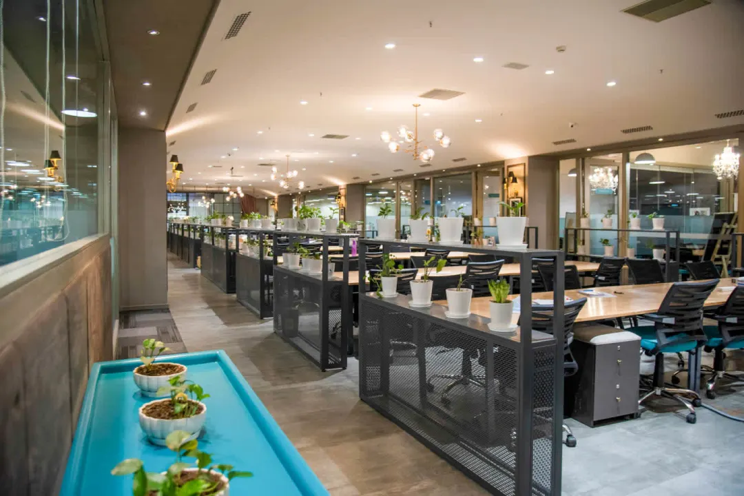 SpringHouse - DLF Grand Mall 3