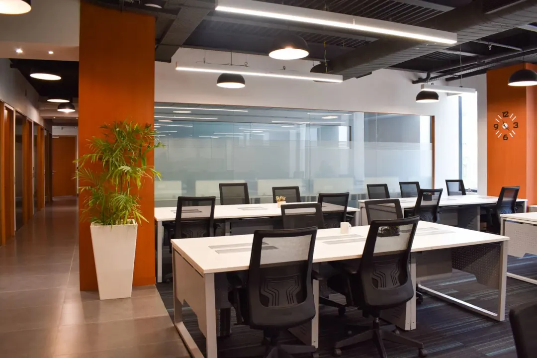 Plus Offices 2