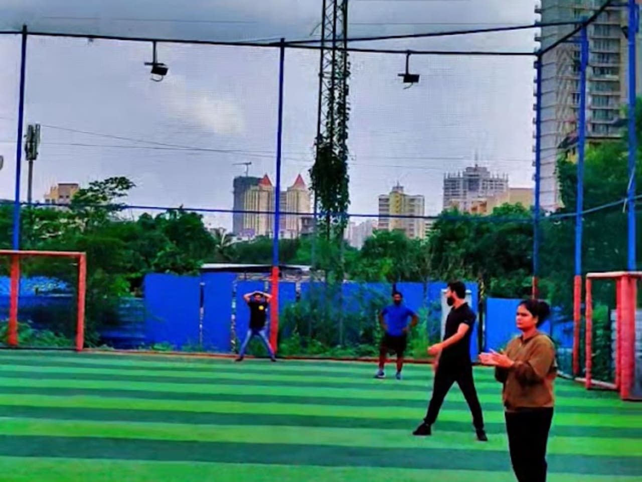 7colours Turf- Multipurpose turf image 2