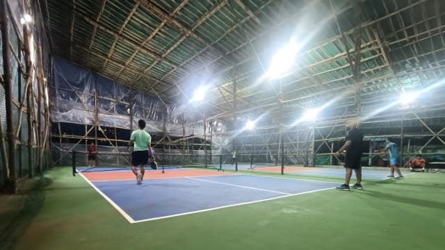 Maestro Pro Pickleball 3