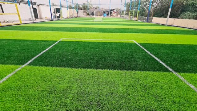 Lion Cage Turf 2