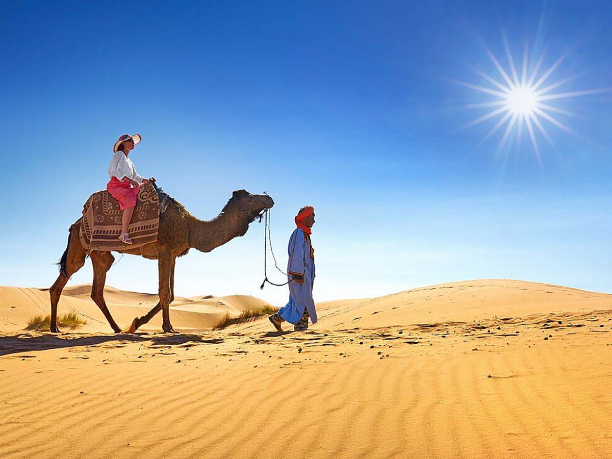 From Agadir: Camel Ride and Flamingo Trek