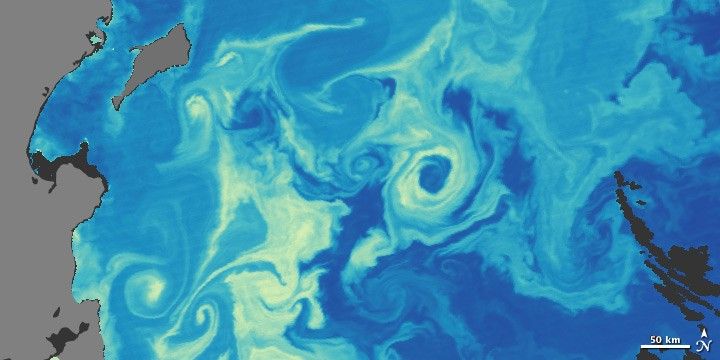 Image: NASA Earth Observatory