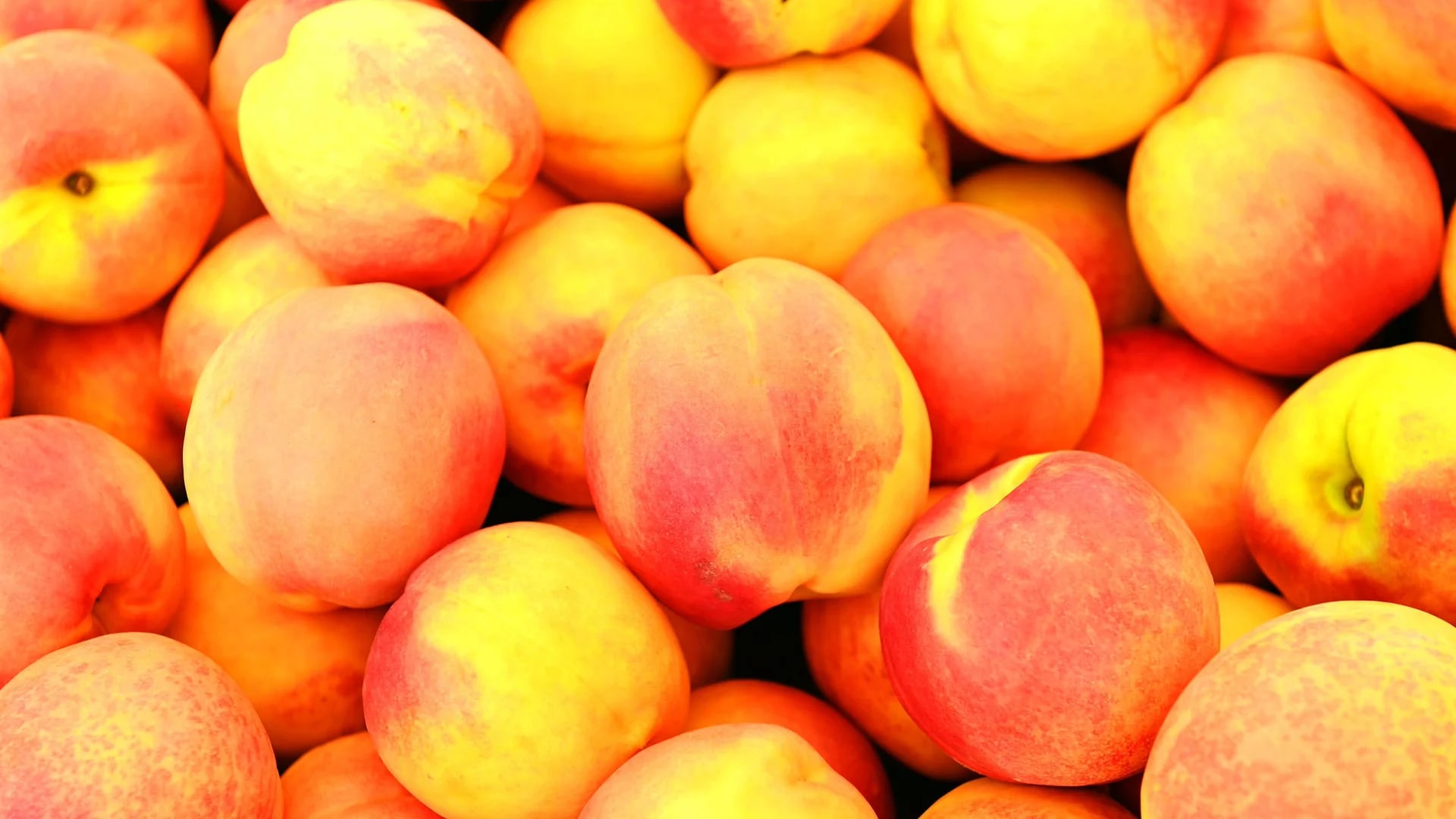 Une Récolte de Nectarines Offerte : Quand le Droit Casse les Prix