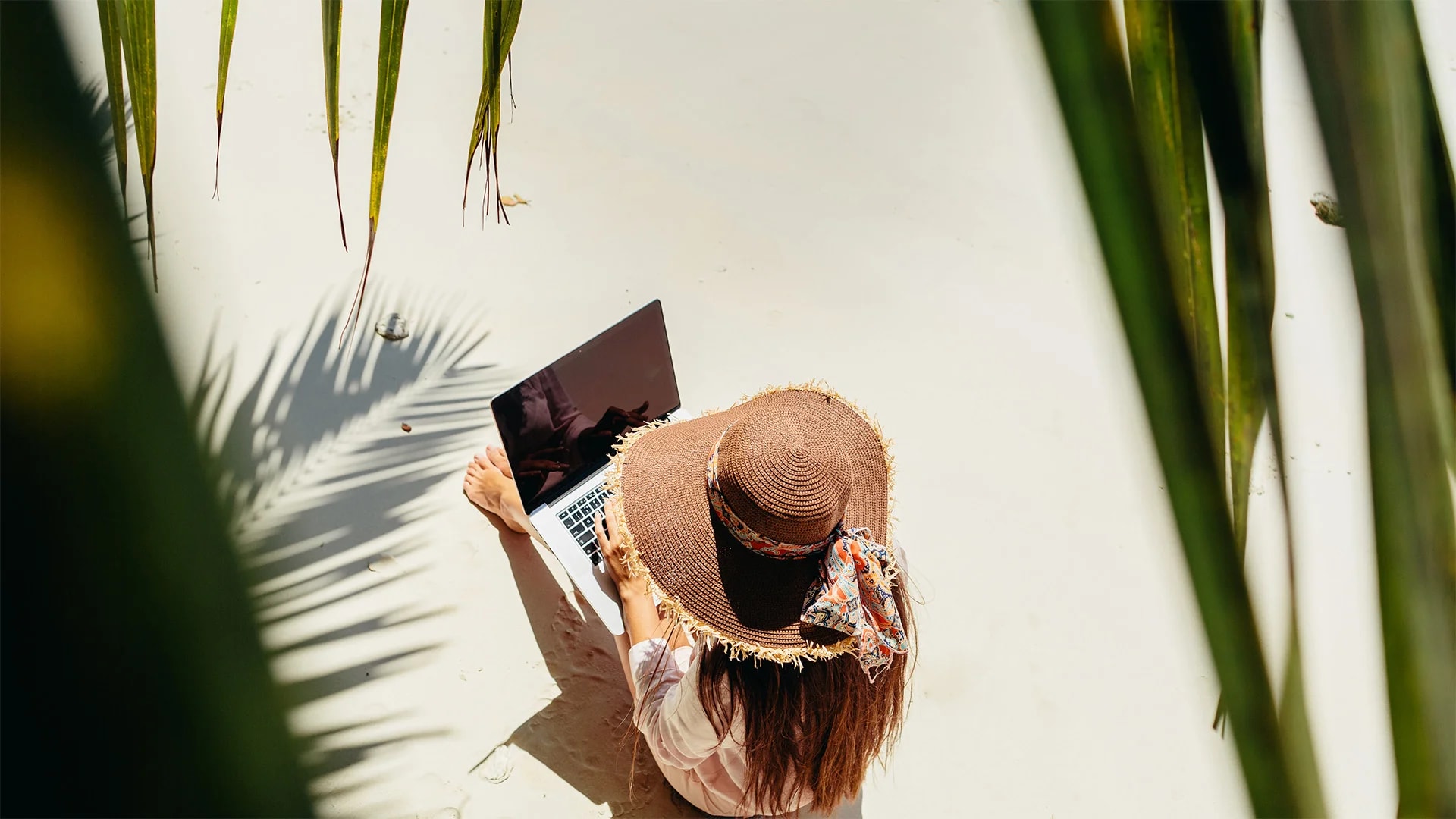 Sécurité et Stratégie : Construire une Audience en Tant que Nomade Numérique