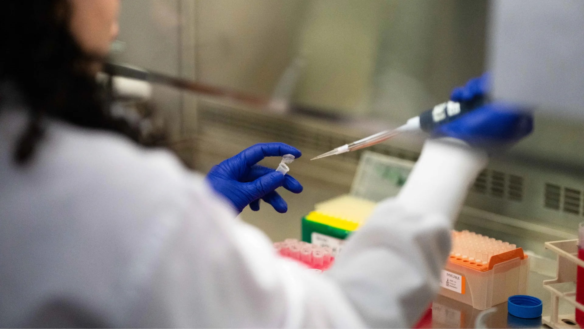 Le yaourt probiotique : un allié inattendu contre le vieillissement