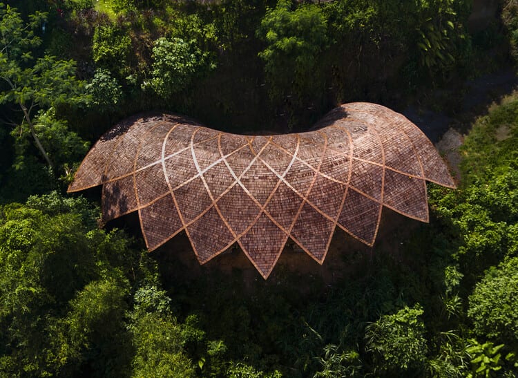 Lotus Shala : Quand l'Architecture Éveille l'Expérience Humaine