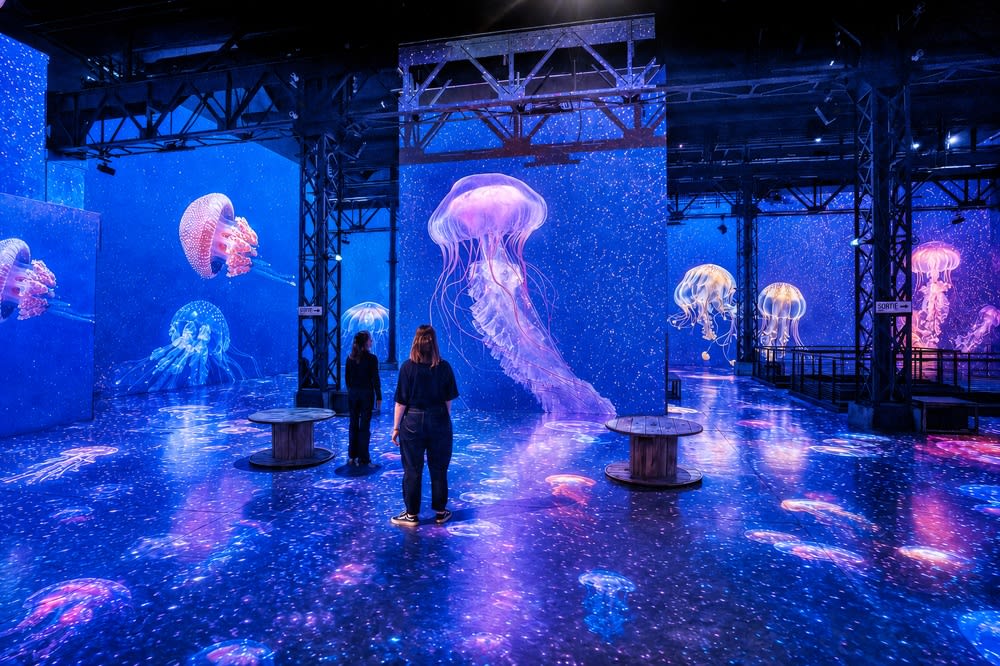 Plongée immersive : l'Atelier des Lumières explore les océans avec « Odyssée »
