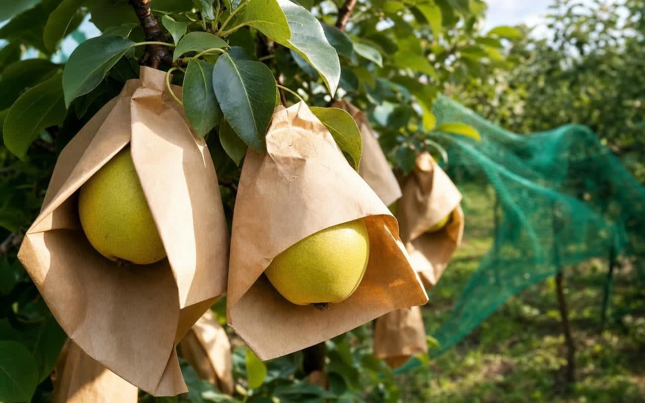 Comment un simple sac en papier peut révolutionner la protection des fruits : Une leçon pour le marketing digital