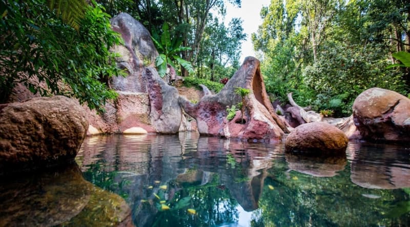 The Lost Spring