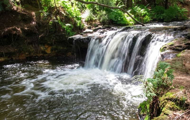 Kerosene Creek