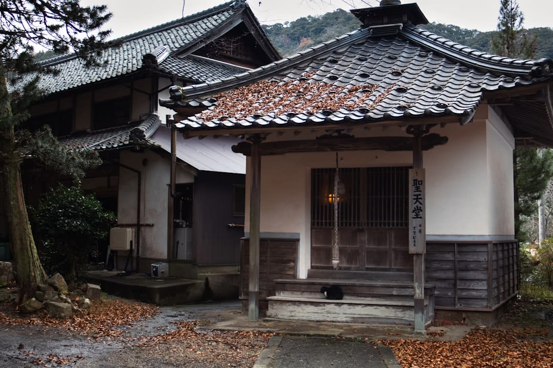 Kinosaki