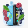 Blueberry Raspberry Elf Bar Raya D3 25000 Puffs - 0 - Moran Vapes