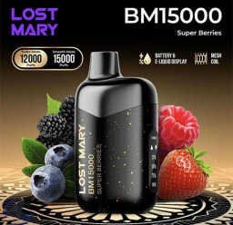 Super Berries Lost Mary BM15000 Puffs
