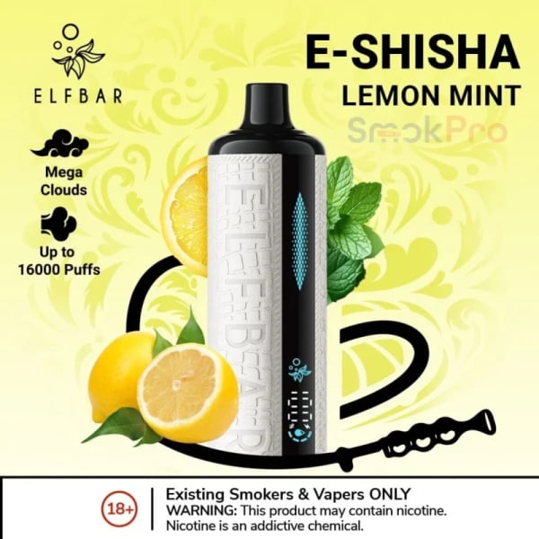 Melon Mint  Elf Bar E-Shisha 16000 Puffs vape by Elfbar E-Shisha 16000 Puffs - Moran Vapes in Kenya