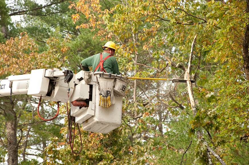 climber on a crane