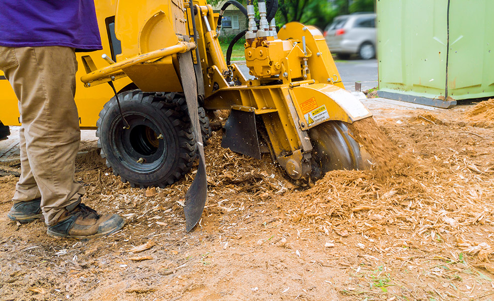 stump grinder grinding a stump