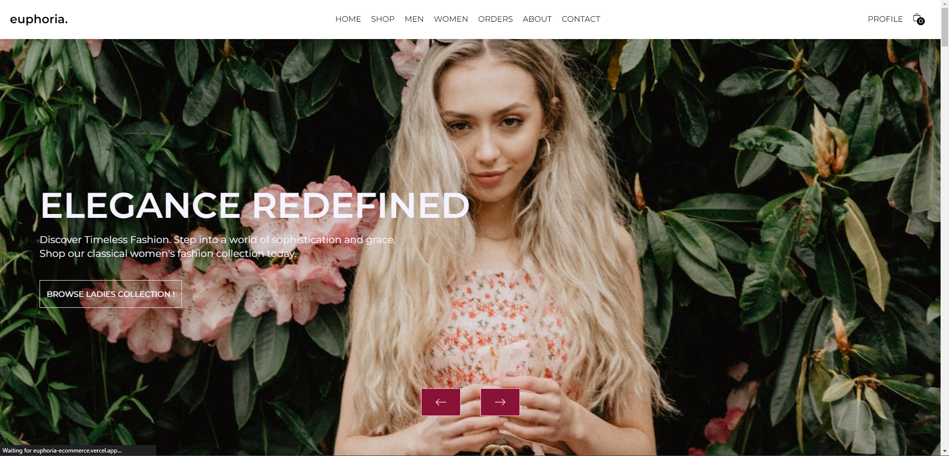 Web Project 3