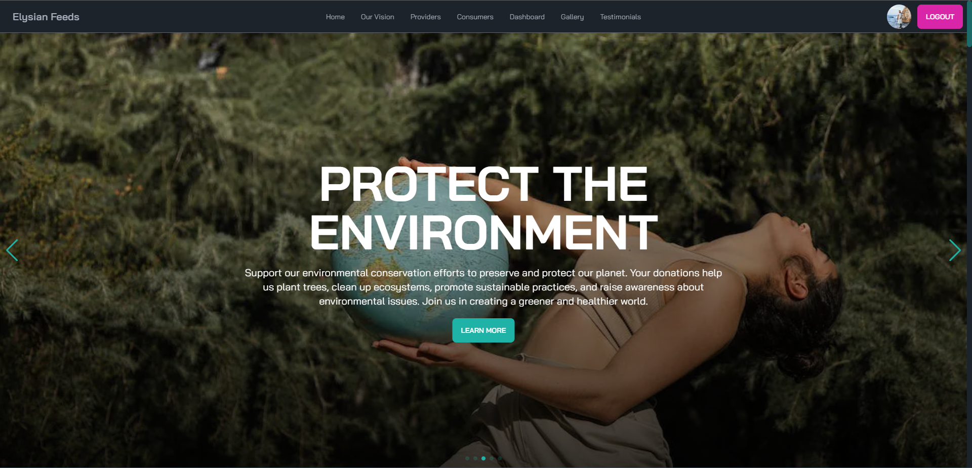 Web Project 2