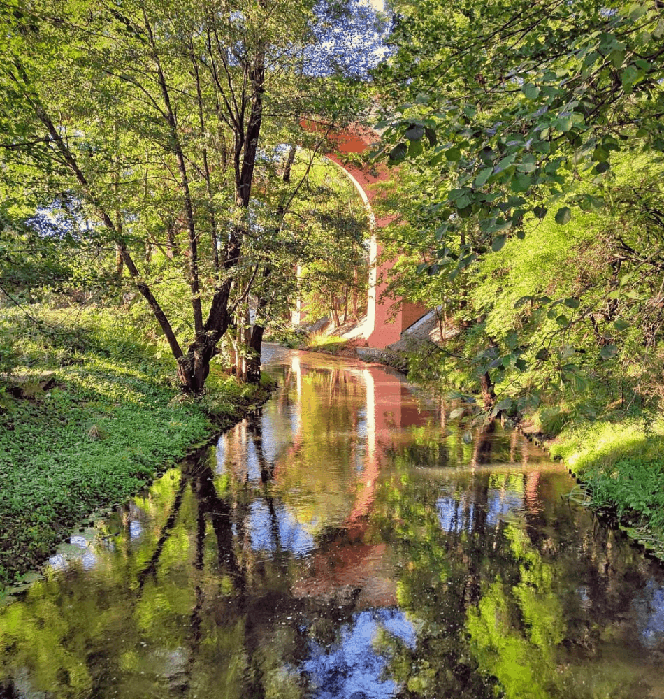Plakat Kultura na świeżym vol. 140. Olsztyn!