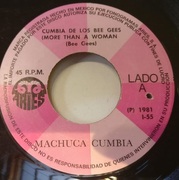 Cumbia De Los Bee Gees — Cumbia Machuca cover