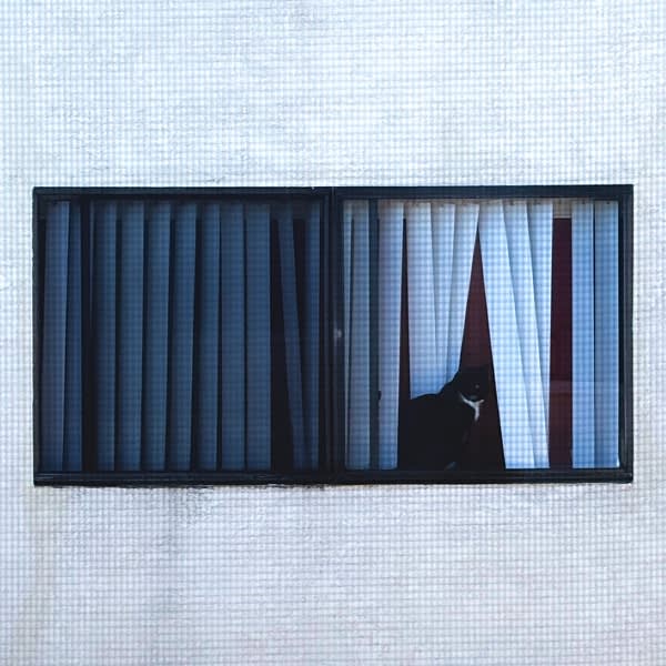 mmMMmmmm — Sega Bodega, Lucinda Chua cover