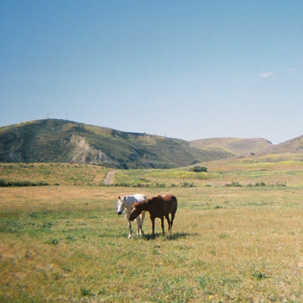 Do I Like You Like That? — Justin Jay, EVA cover