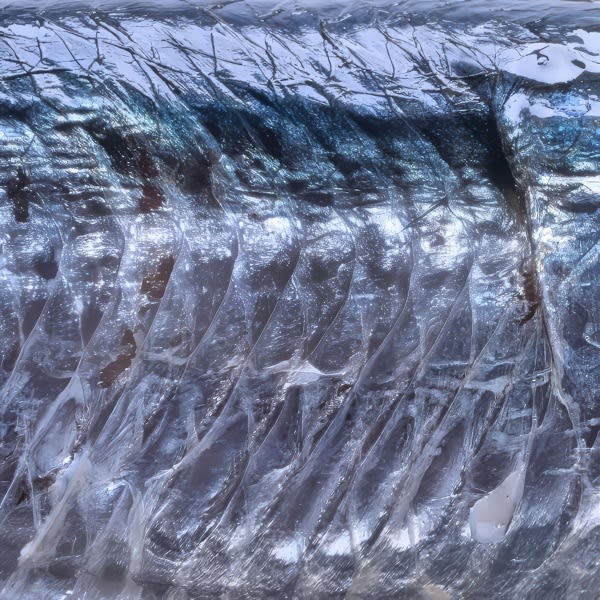 āfa — 15 15 cover