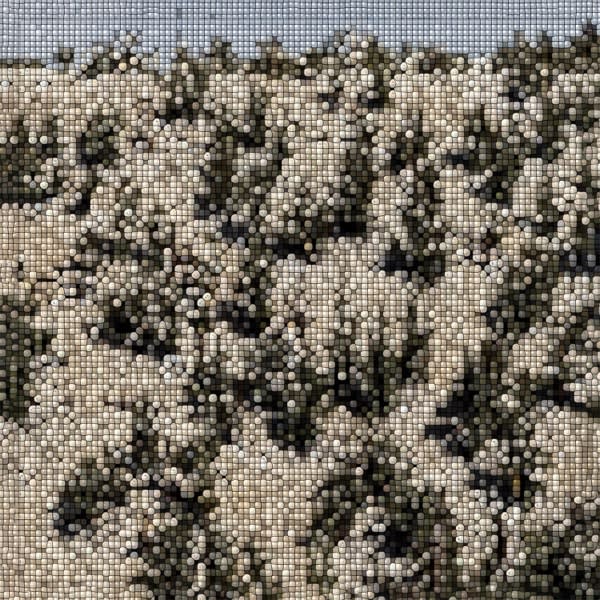 Back Scratch — Gregory Uhlmann cover