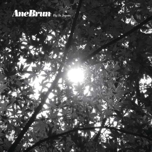 Big in Japan — Ane Brun cover