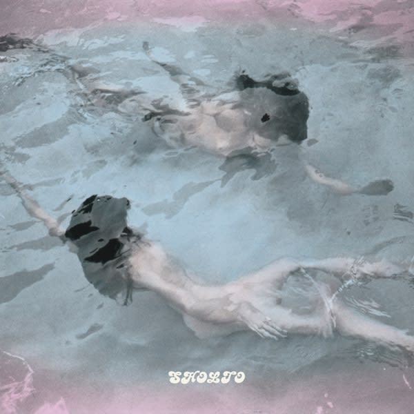 Swampland of the Soul — SHOLTO cover