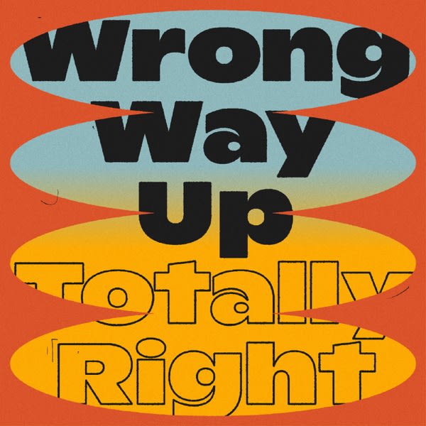 We Can Do This — Wrong Way Up cover