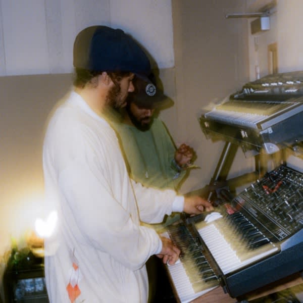 Filtergits — Ash Walker cover