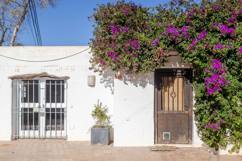 Finca Santa Gertrudis thumbnail 10