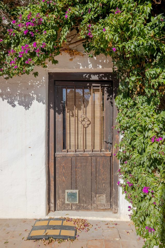 Finca Santa Gertrudis thumbnail 15