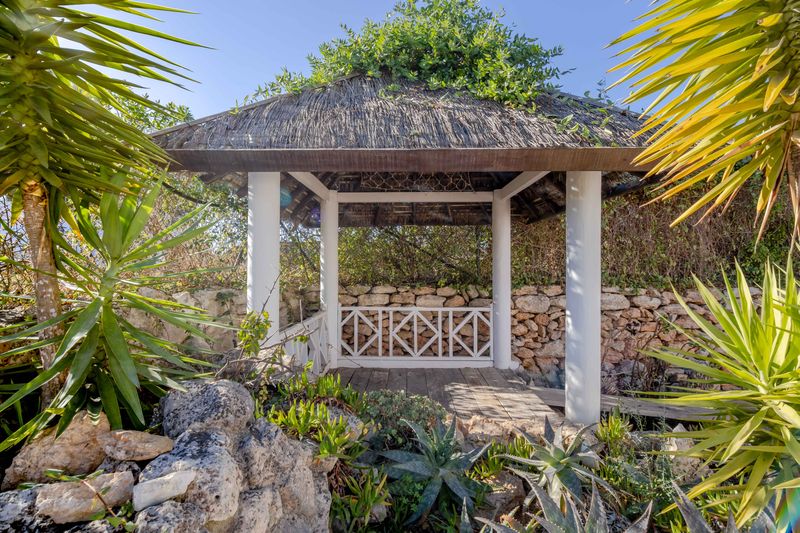 Finca Santa Gertrudis thumbnail 17