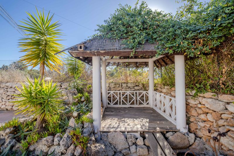 Finca Santa Gertrudis thumbnail 18