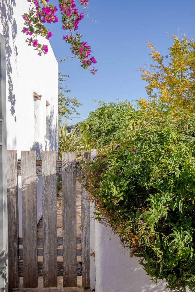 Finca Santa Gertrudis thumbnail 20