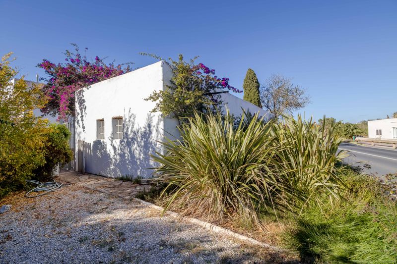 Finca Santa Gertrudis thumbnail 21